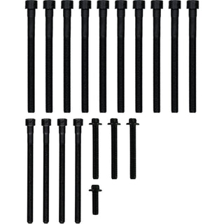 Victor Reinz 14-32309-02 BMW N54 head bolt set