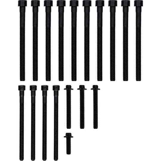 Victor Reinz 14-32309-02 BMW N54 head bolt set
