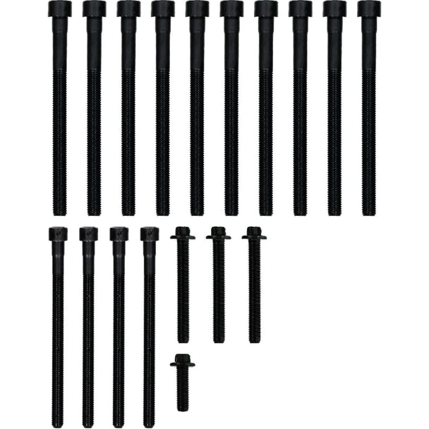 Victor Reinz 14-32309-02 BMW N54 head bolt set