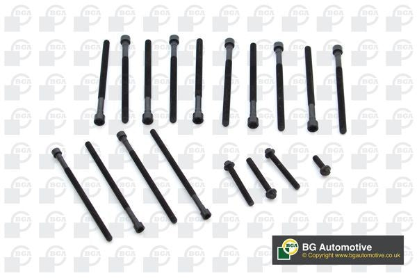 BGA BK0904 Cylinder Head Bolt Set