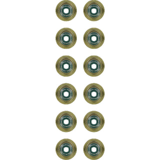 Victor Reinz 12-37256-01 exhaust valve stem seal set for BMW
