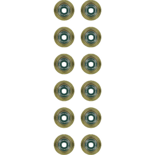 Victor Reinz 12-37256-01 exhaust valve stem seal set for BMW