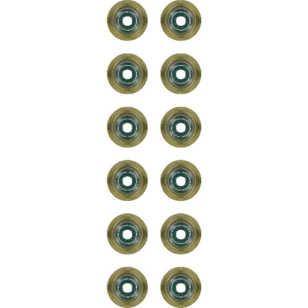 Victor Reinz 12-37256-01 exhaust valve stem seal set for BMW