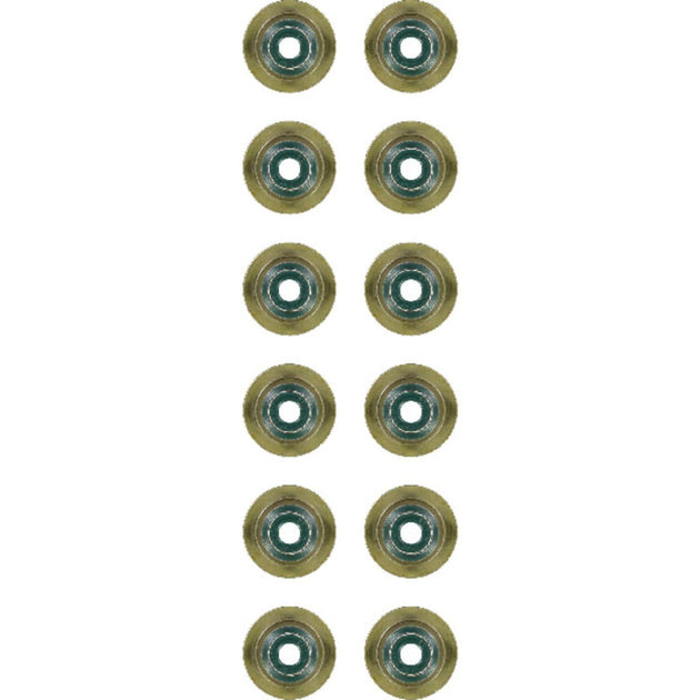 Victor Reinz 12-37256-01 exhaust valve stem seal set for BMW